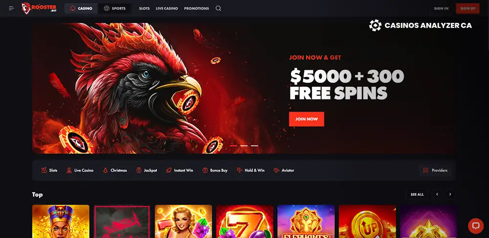 Rooster Bet Casino No Deposit Bonus Screenshot
