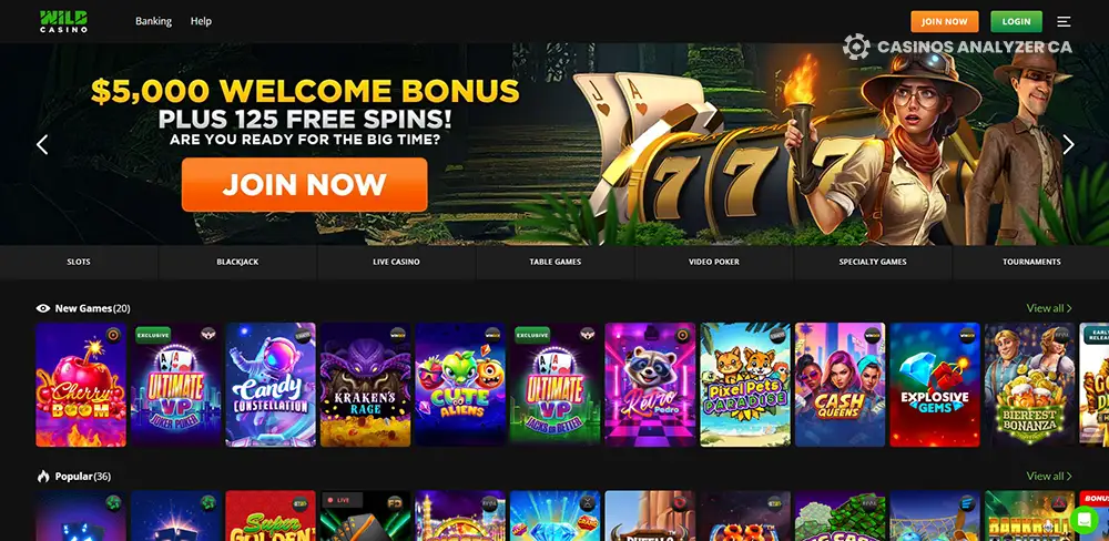 Wild Casino with wild casino no deposit bonus active