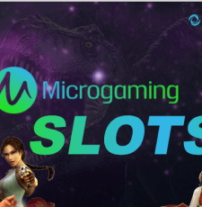 15 Best Microgaming Slots