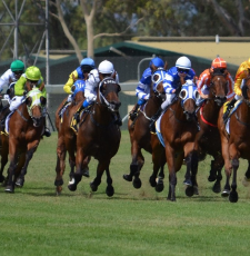 An Exhaustive Guide to Melbourne Cup Horses 2024