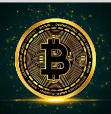 A New Peak Has Been Conquered - : The Bitcoin Rate Updated Historical Maximum