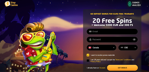 20 Free Spins Offer
