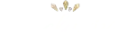 Exclusive Casino $300 No Deposit Bonus Codes