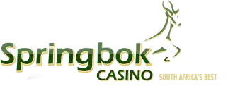 Bonuses by Springbok Casino