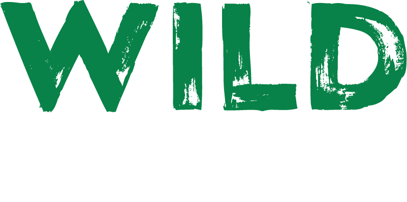 vegas wild casino no deposit bonus