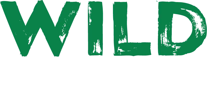 Wild Casino Review