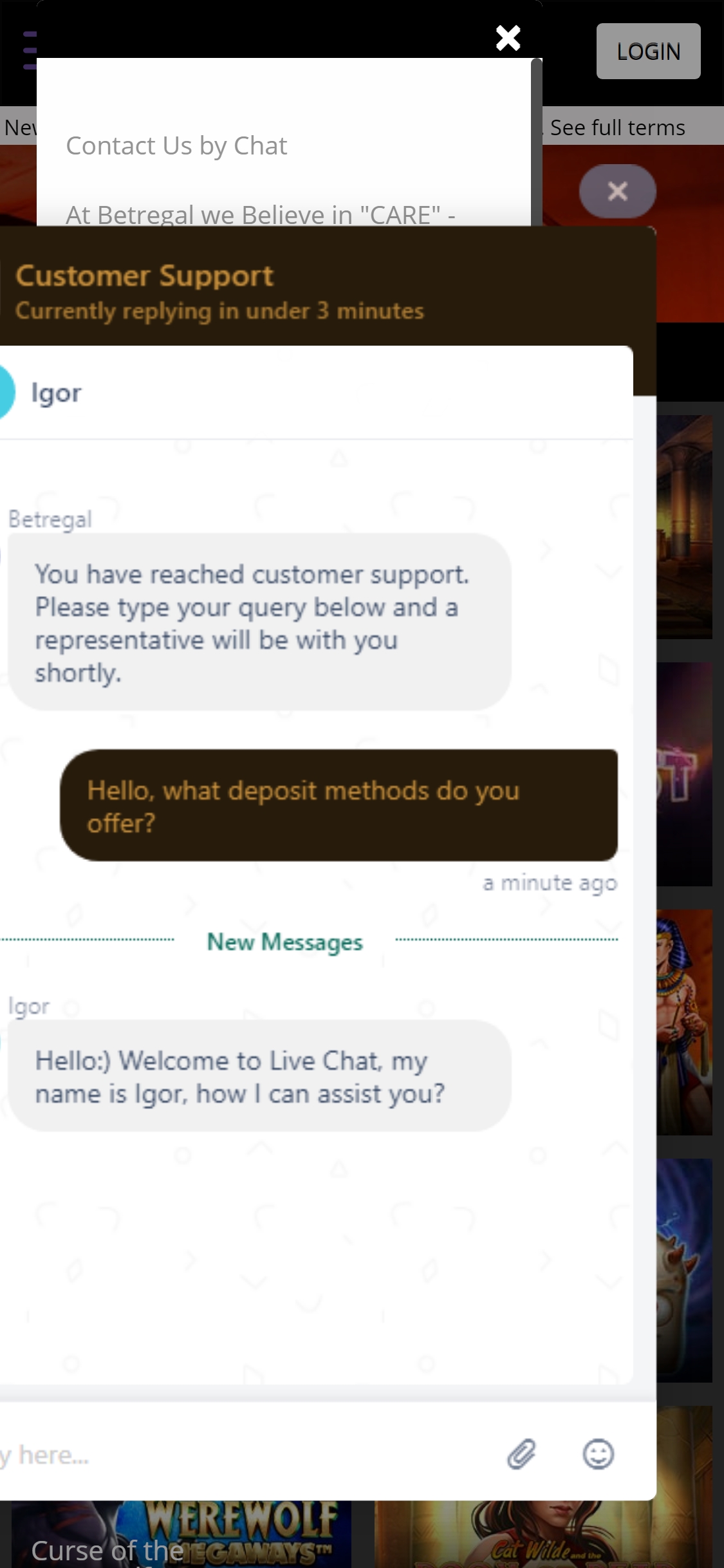 Betregal Casino Mobile Support Review
