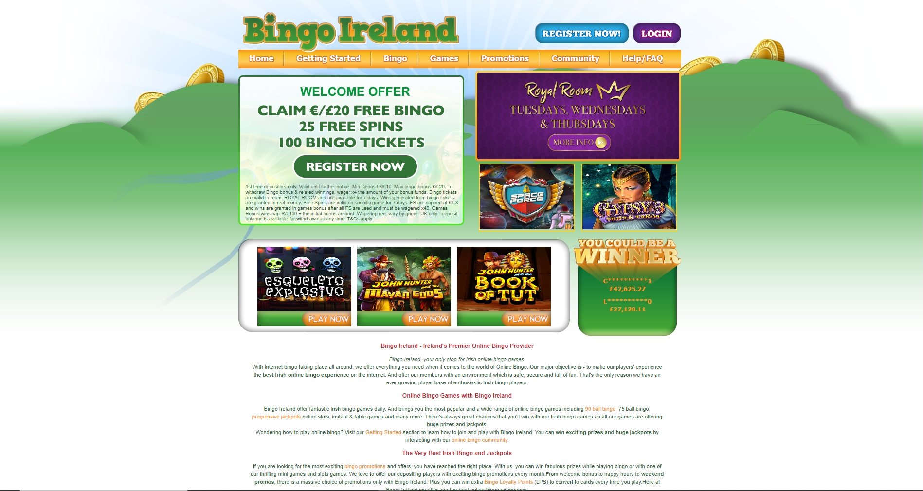 Bingo Ireland Casino Review