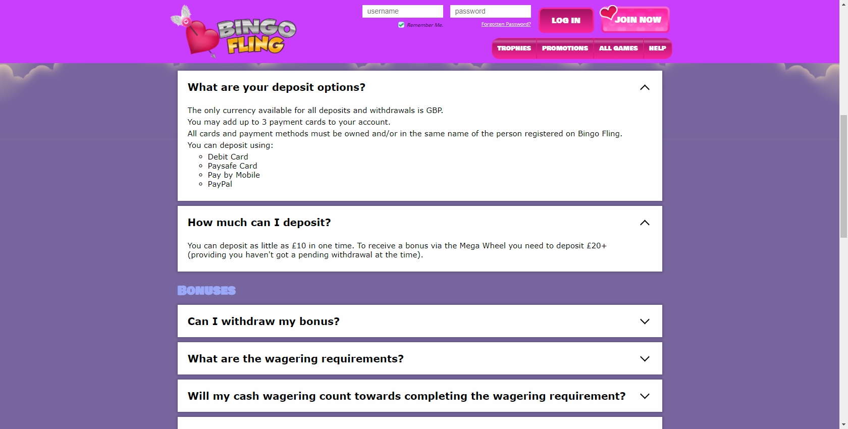 Bingo Fling Casino Payment Methods