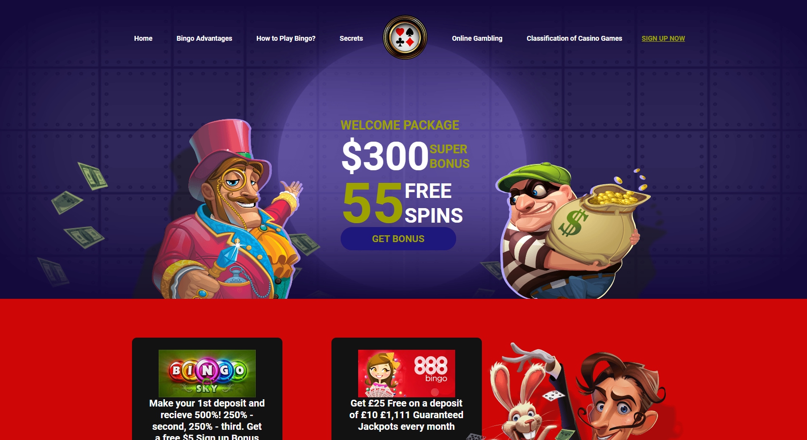Bingo Online Casino Review