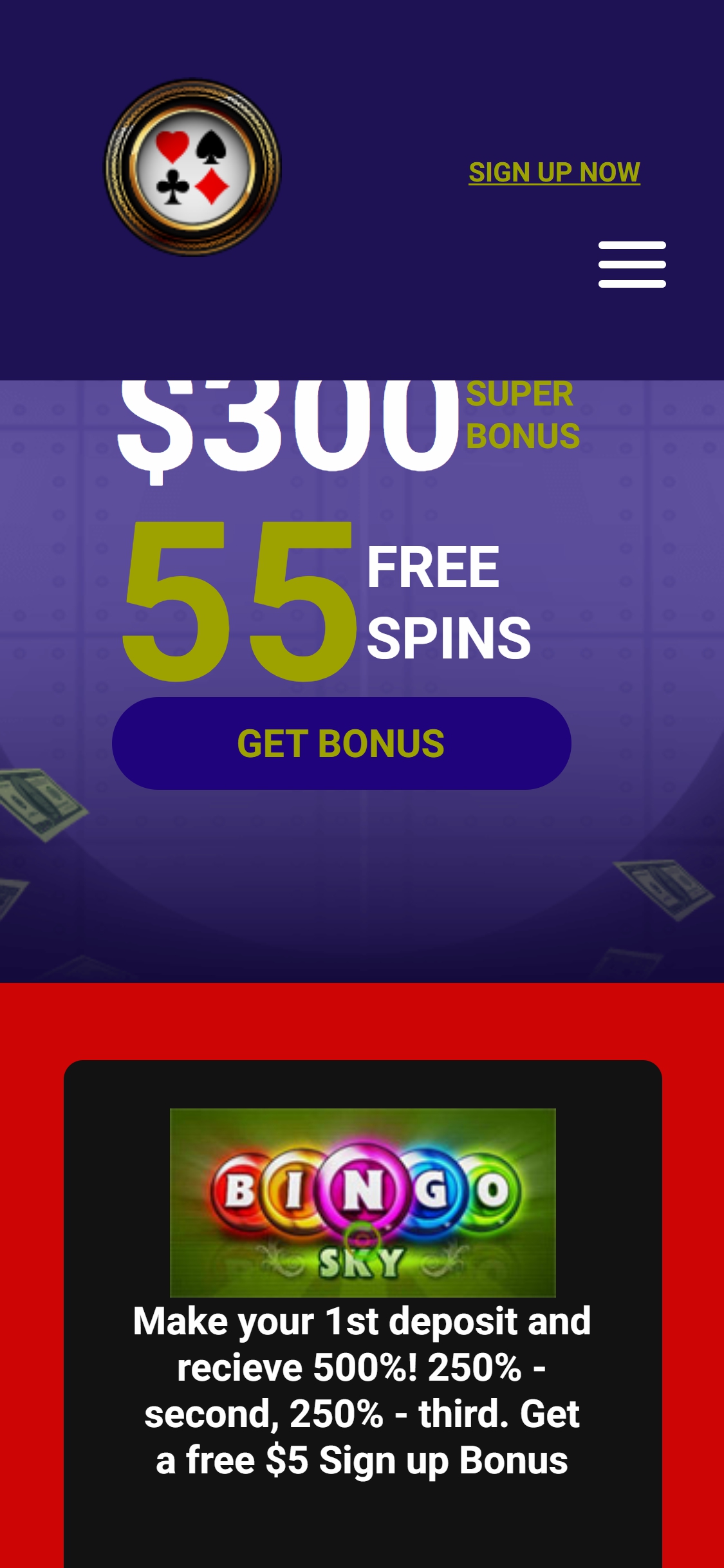 Bingo Online Casino Mobile Review