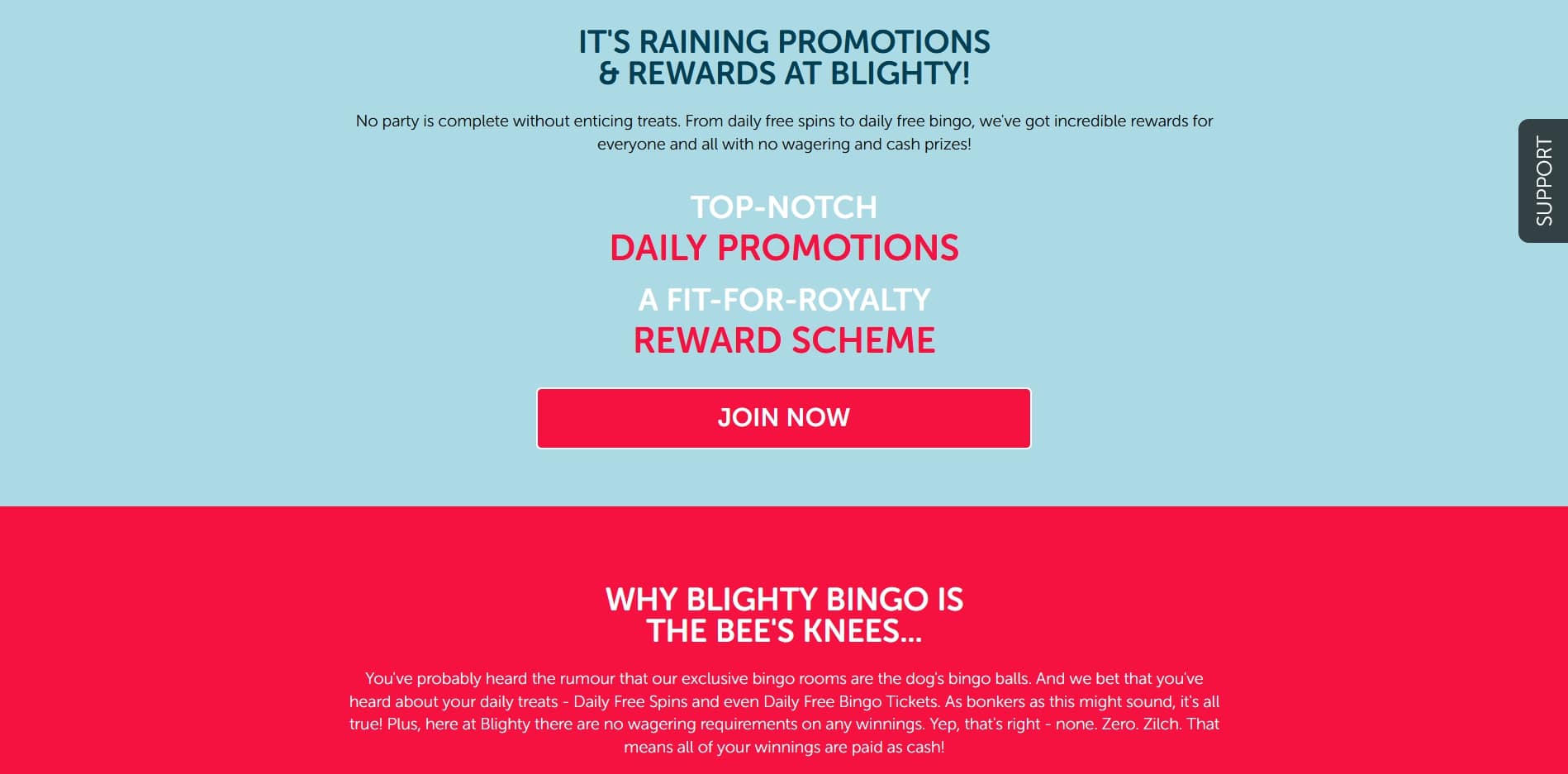 Blighty Bingo Casino No Deposit Bonus