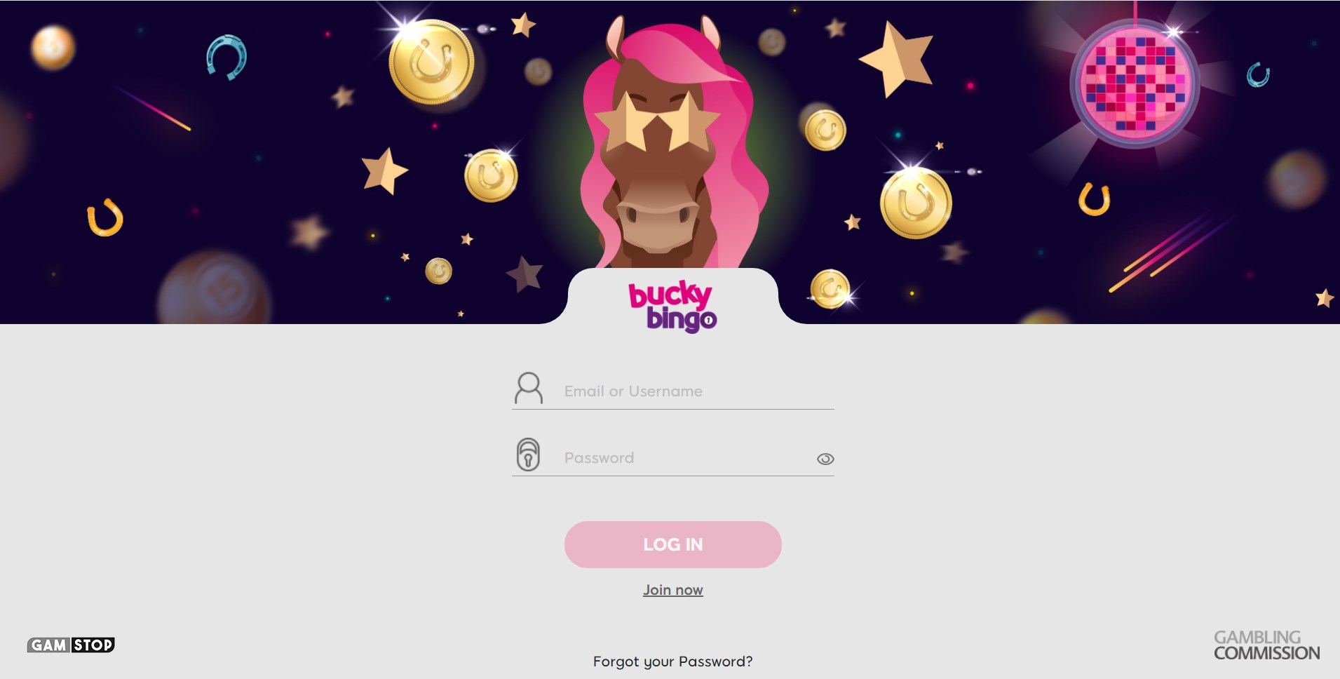 Bucky Bingo Casino Login