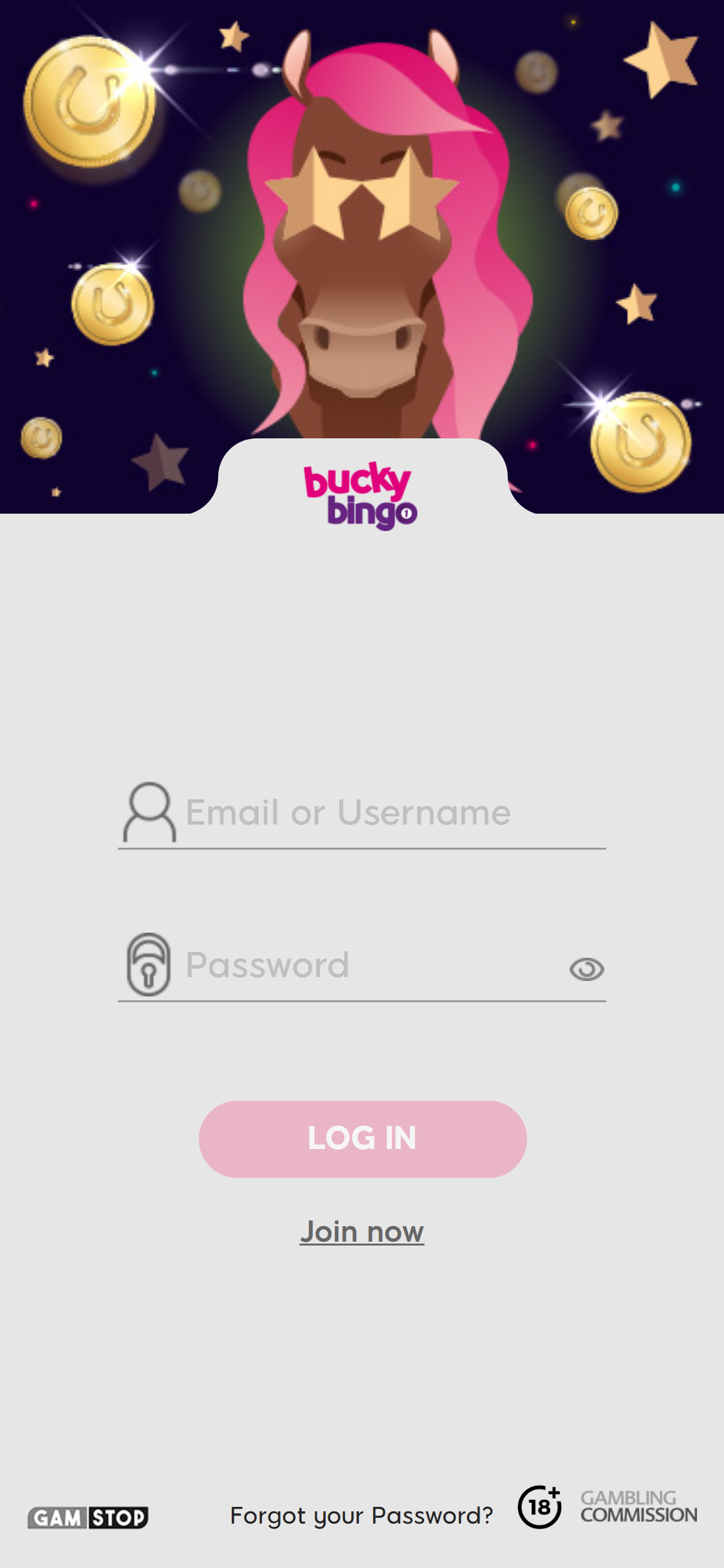 Bucky Bingo Casino Mobile Login Review