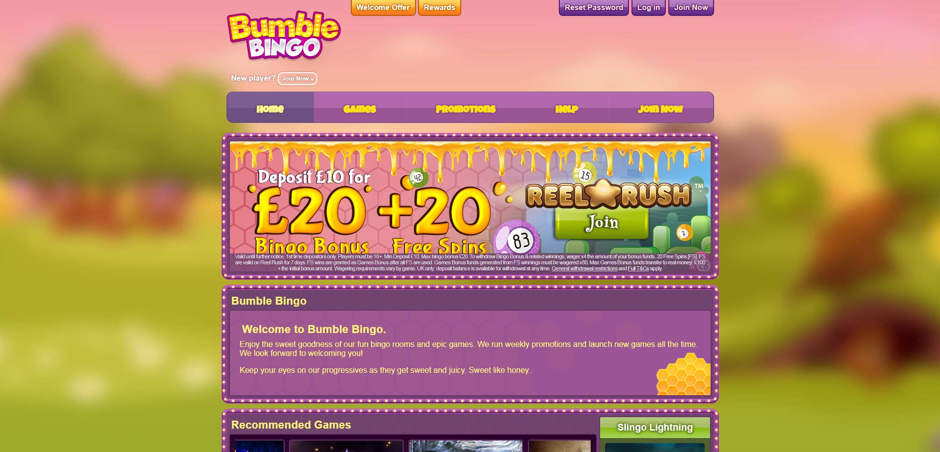 Bumble Bingo Casino Review