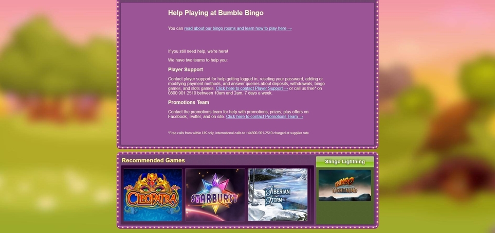 Bumble Bingo Casino Support