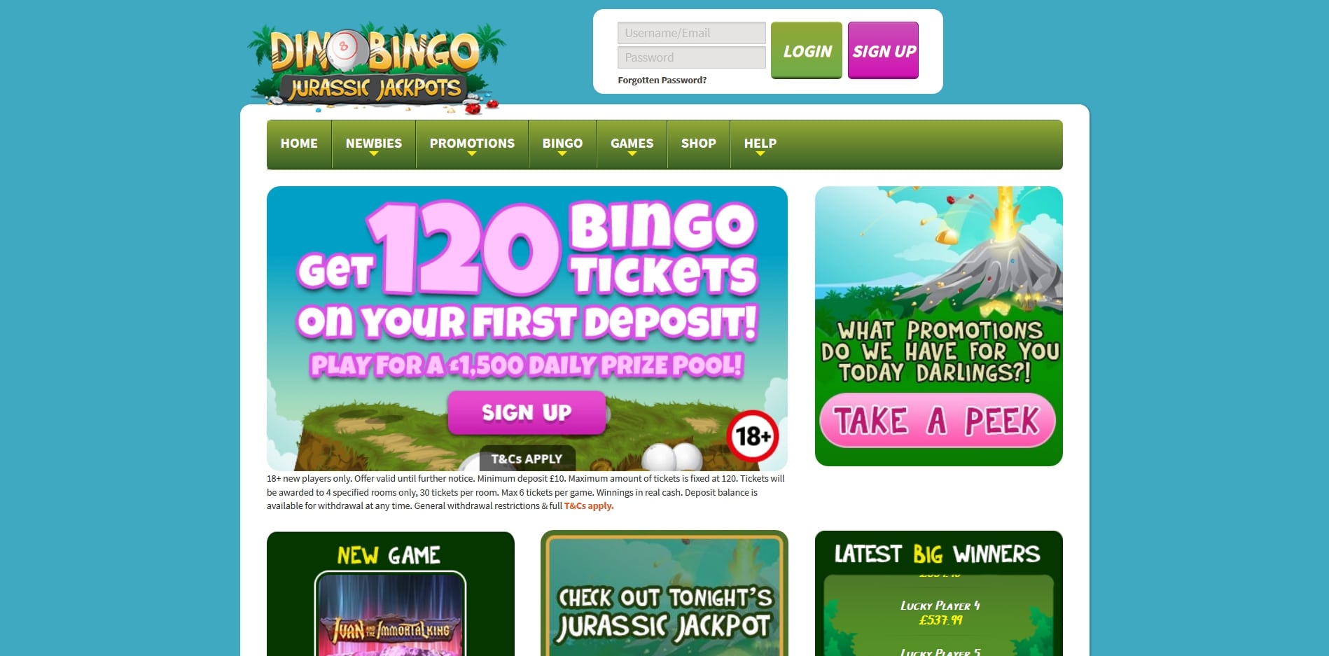 Dino Bingo Casino Login
