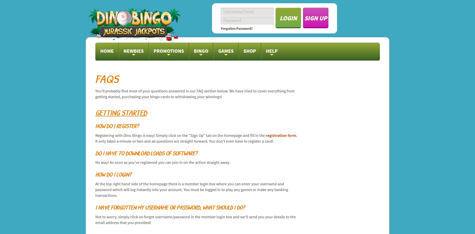 Dino Bingo Casino Support