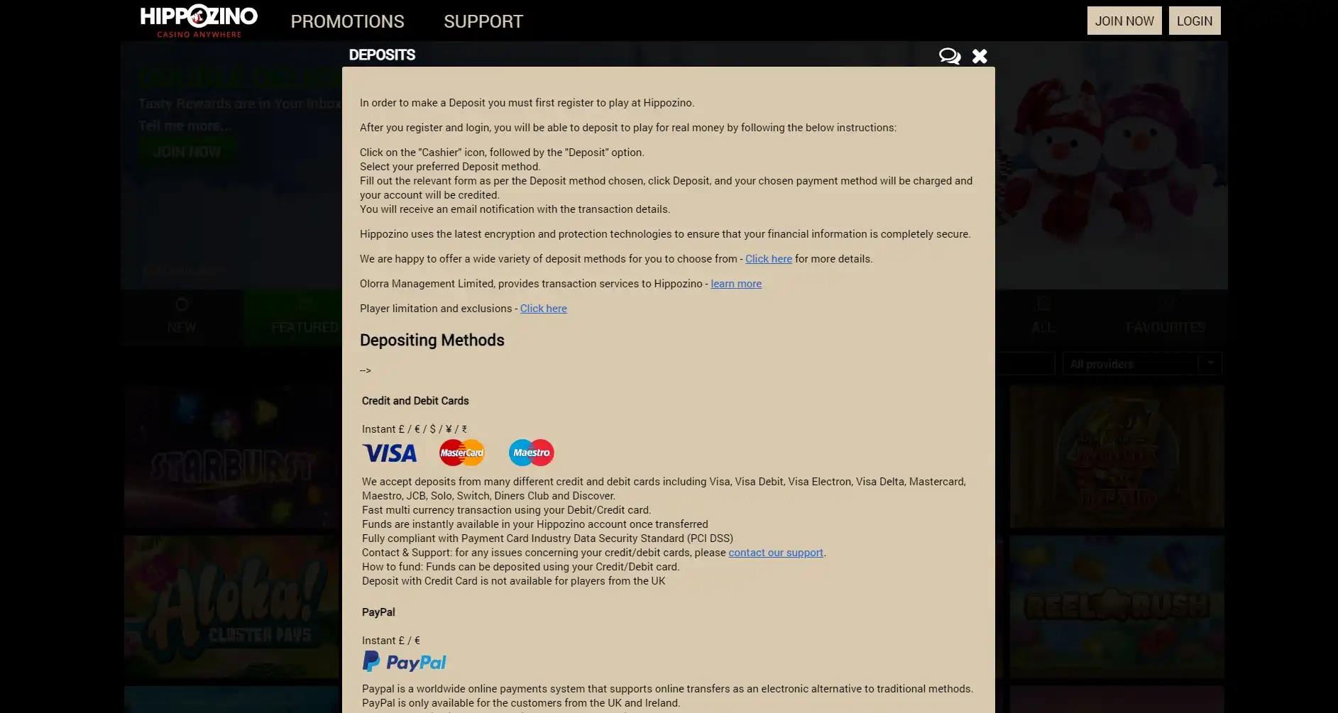 Hippozino Casino Payment Methods