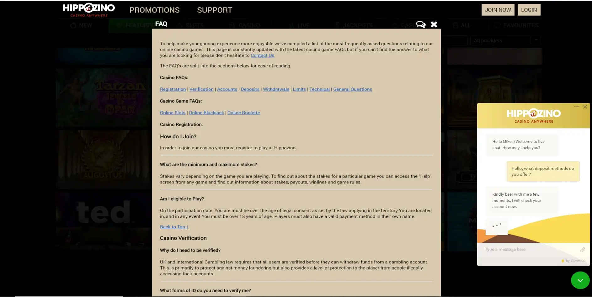 Hippozino Casino Support
