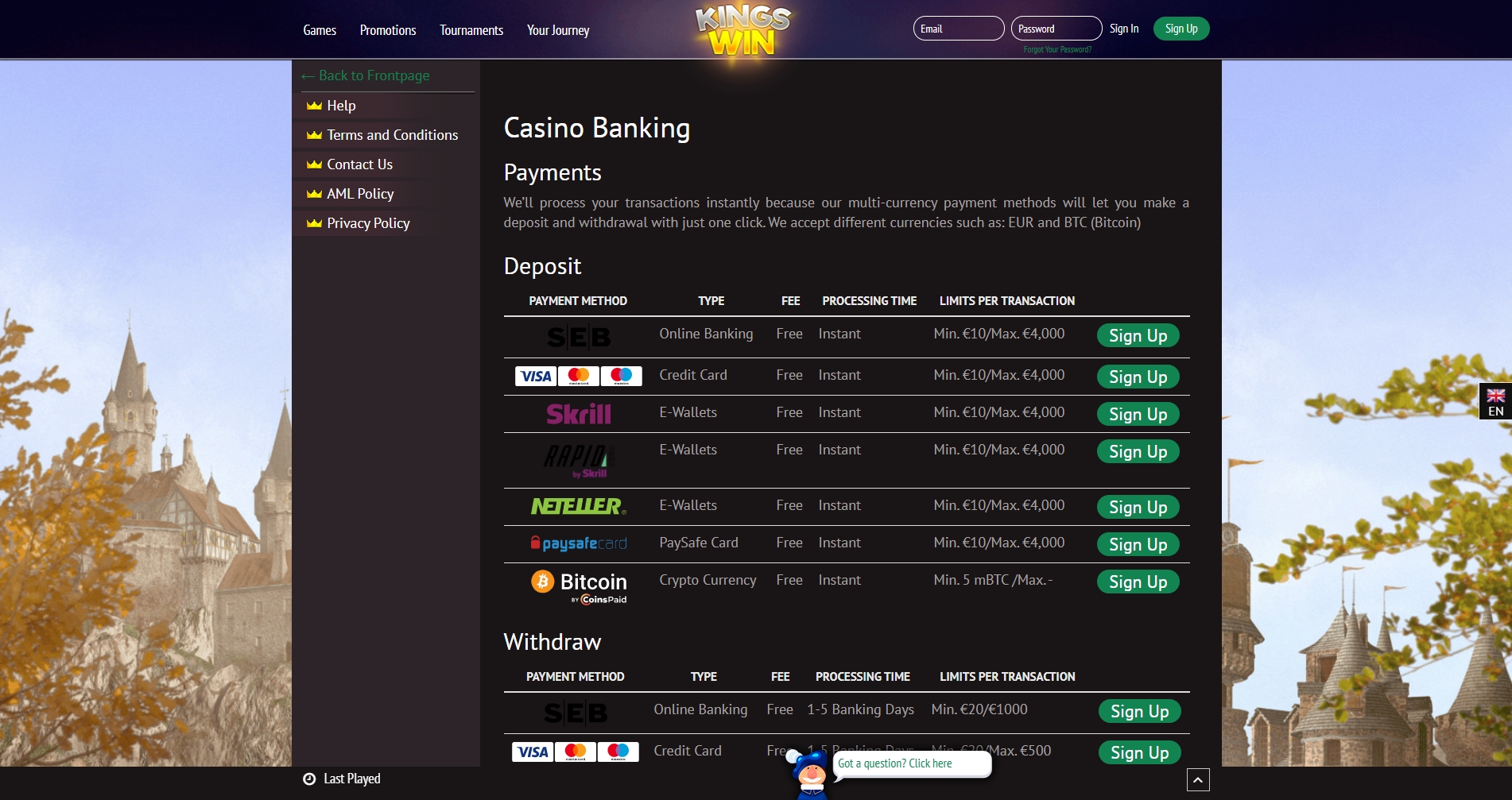 KingsWin Casino Payment Methods