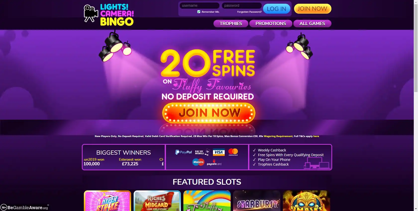 Lights Camera Bingo Casino Review
