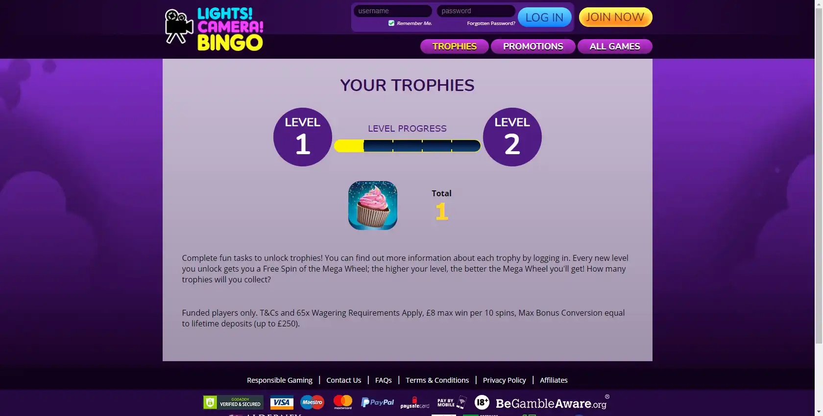 Lights Camera Bingo Casino Login