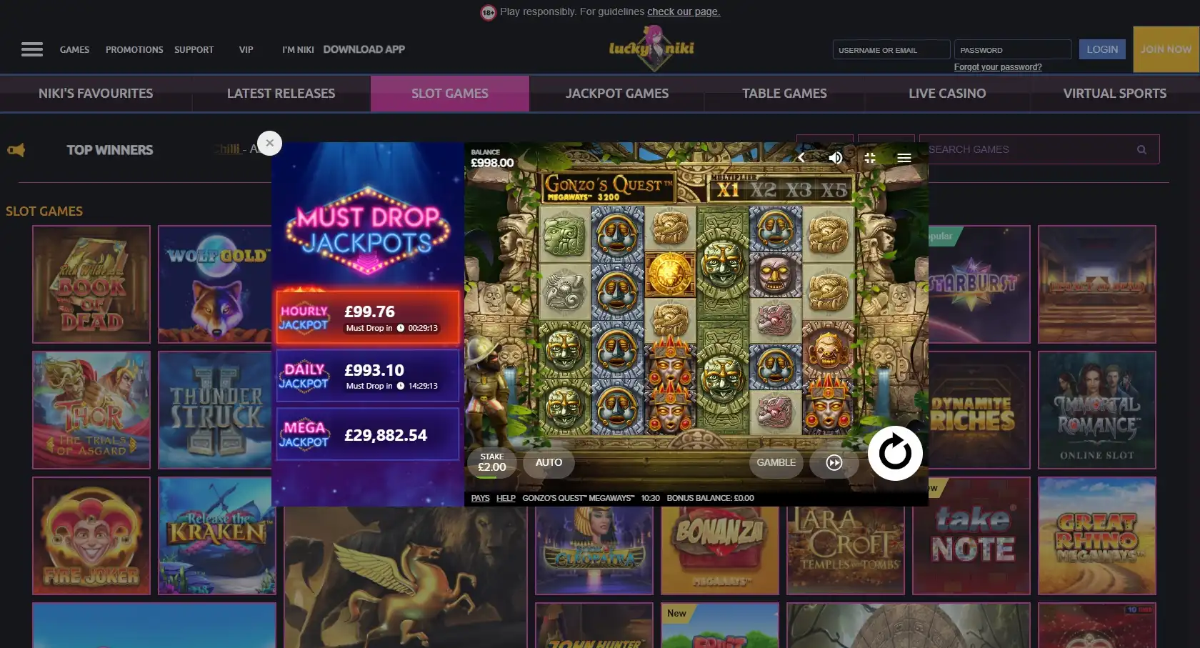 Lucky Niki Casino Slot Games