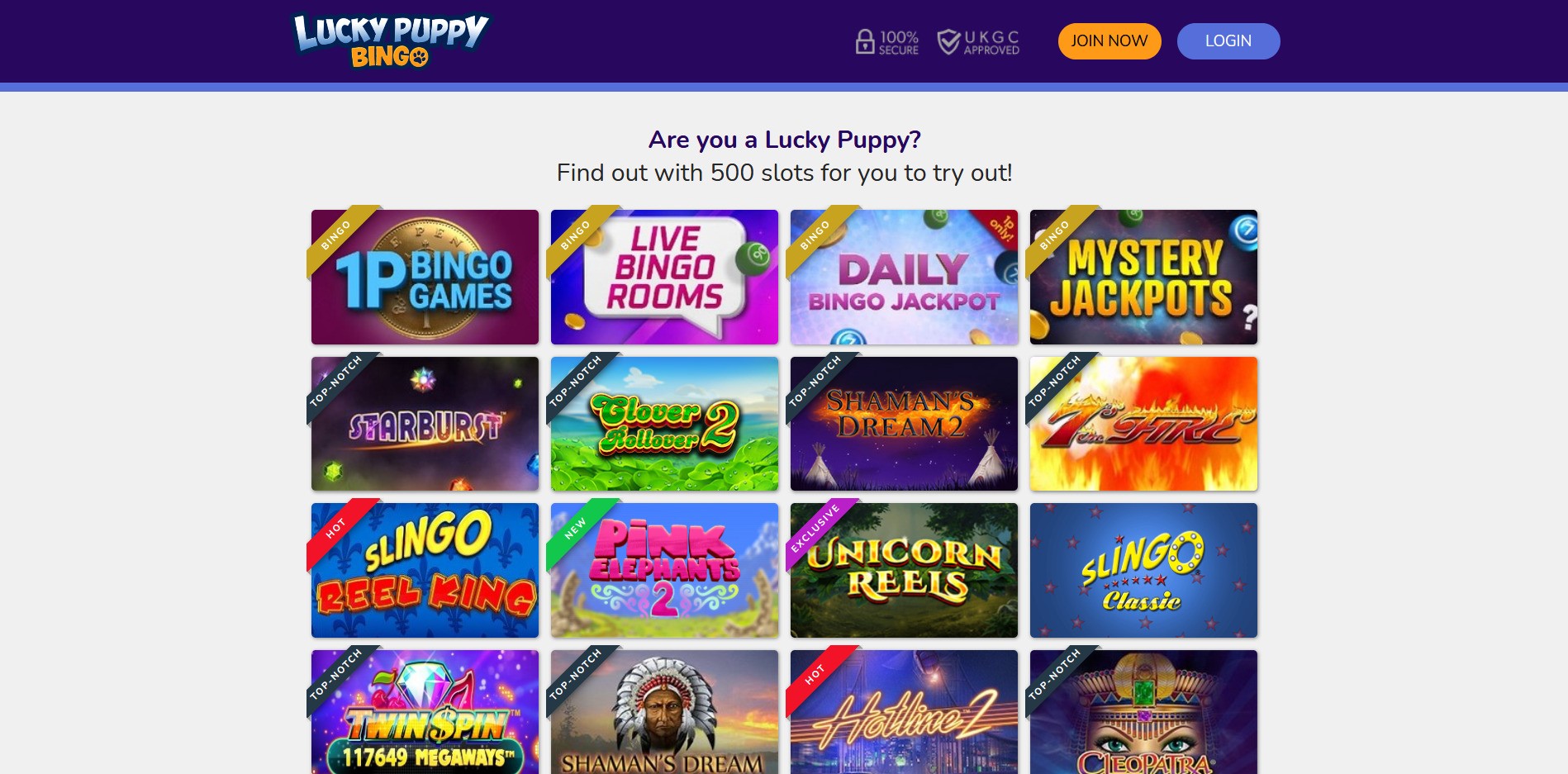Lucky Puppy Bingo Games