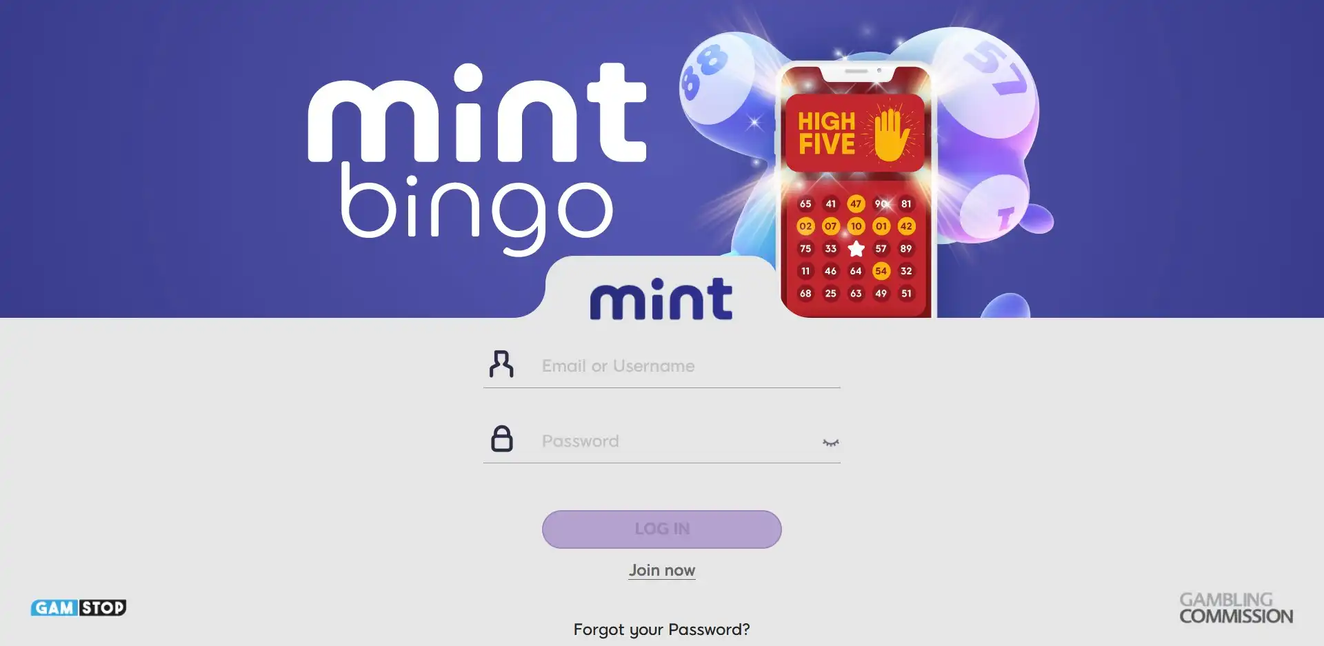 MintBingo Casino Login