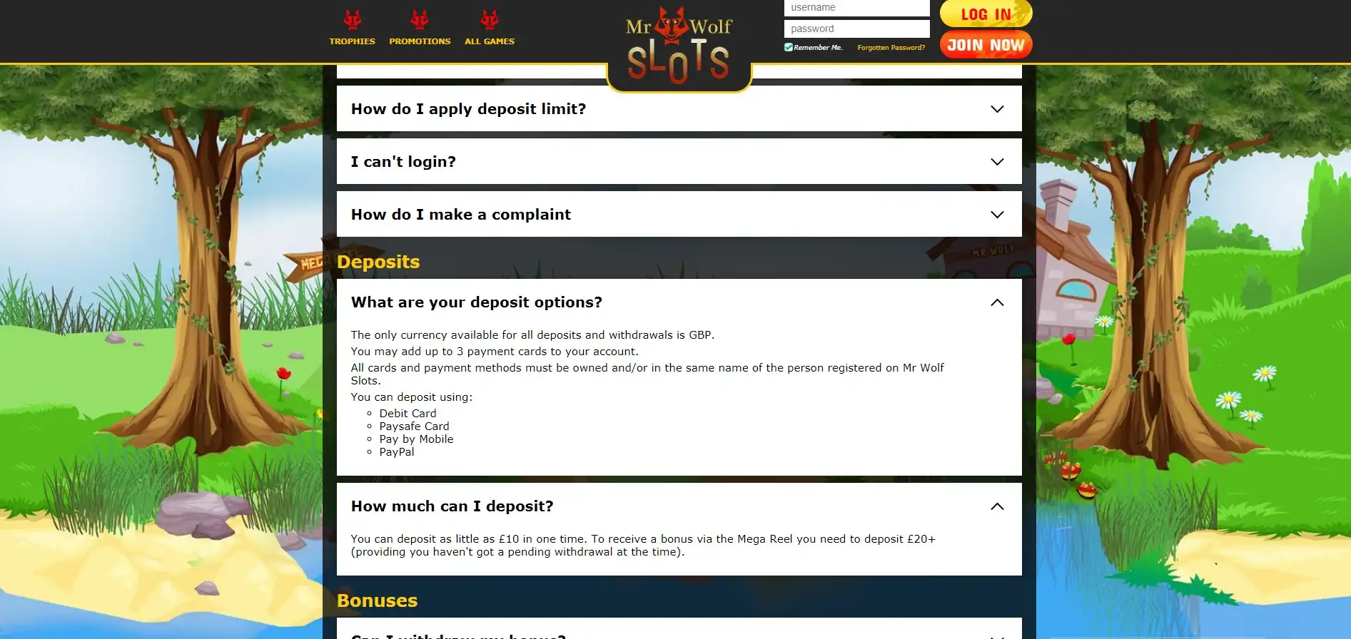 Mr Wolf Slots Casino Payment Methods