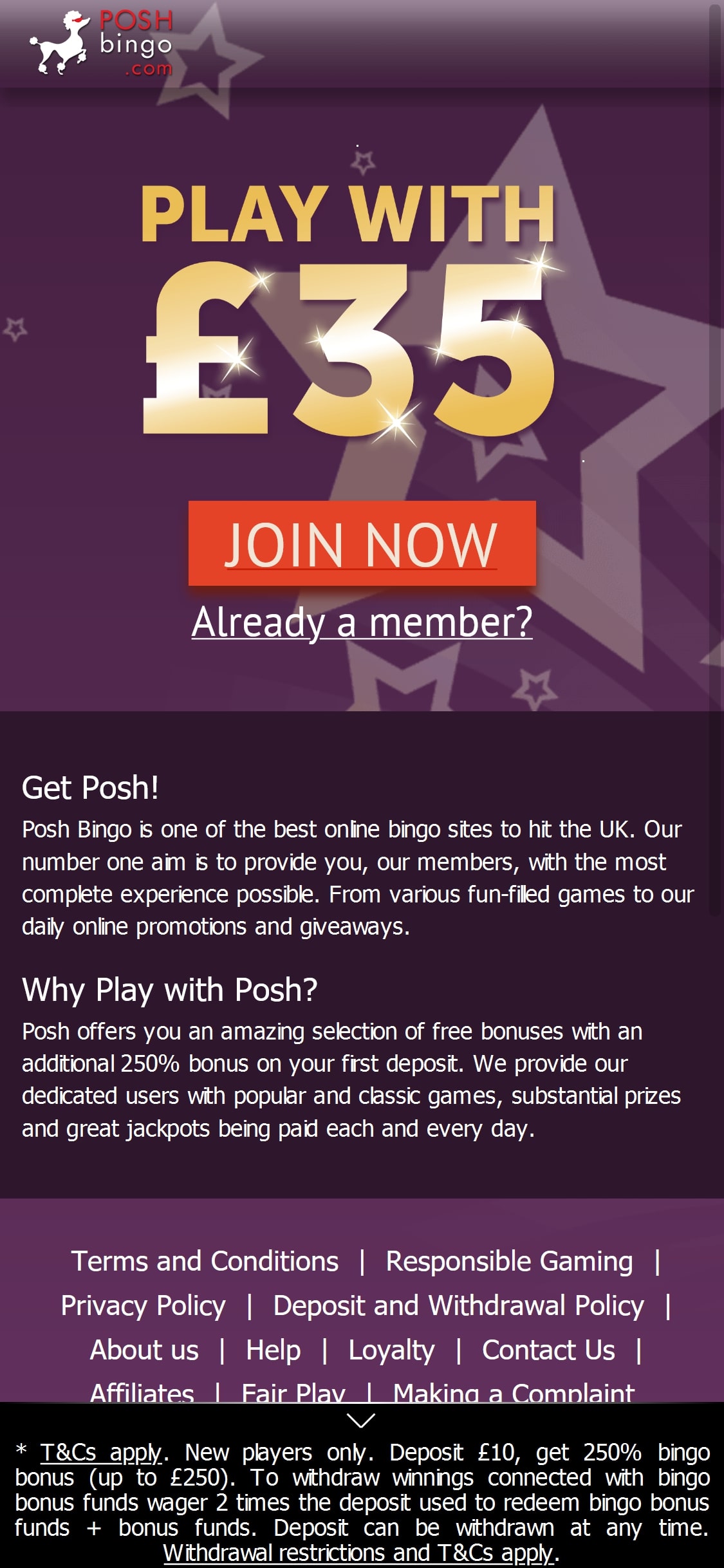 Posh Bingo Casino Mobile Review