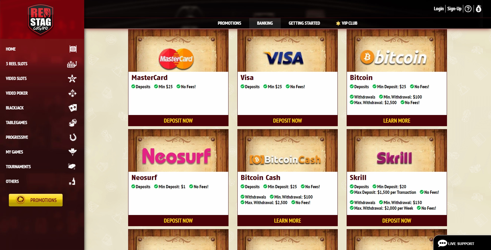 Red Stag Casino Payment Methods