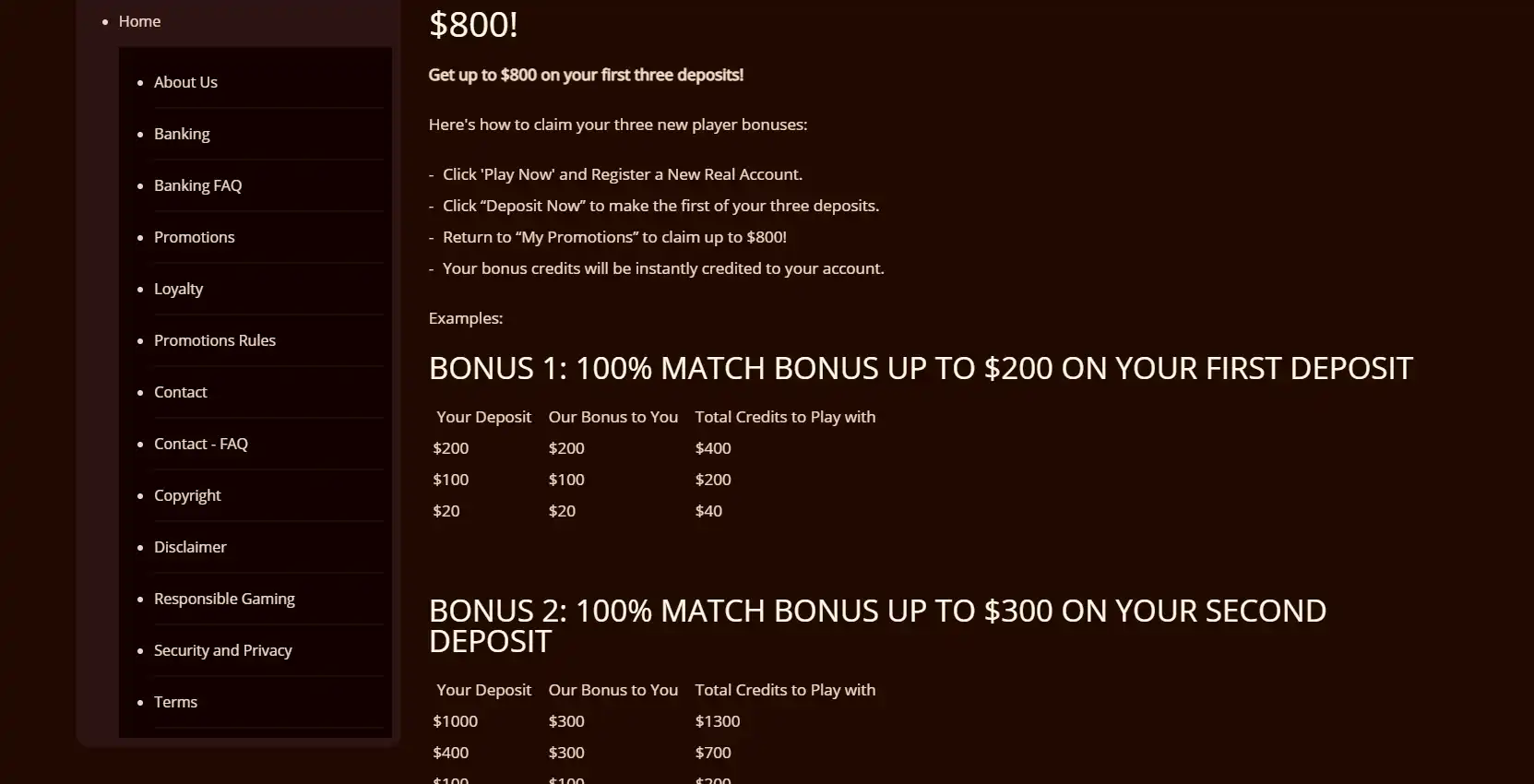River Belle Casino No Deposit Bonus
