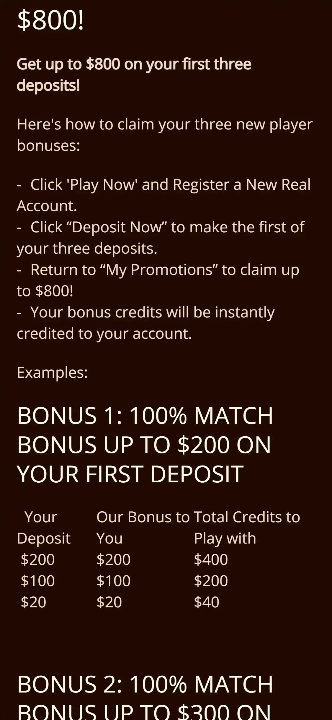 River Belle Casino Mobile No Deposit Bonus Review