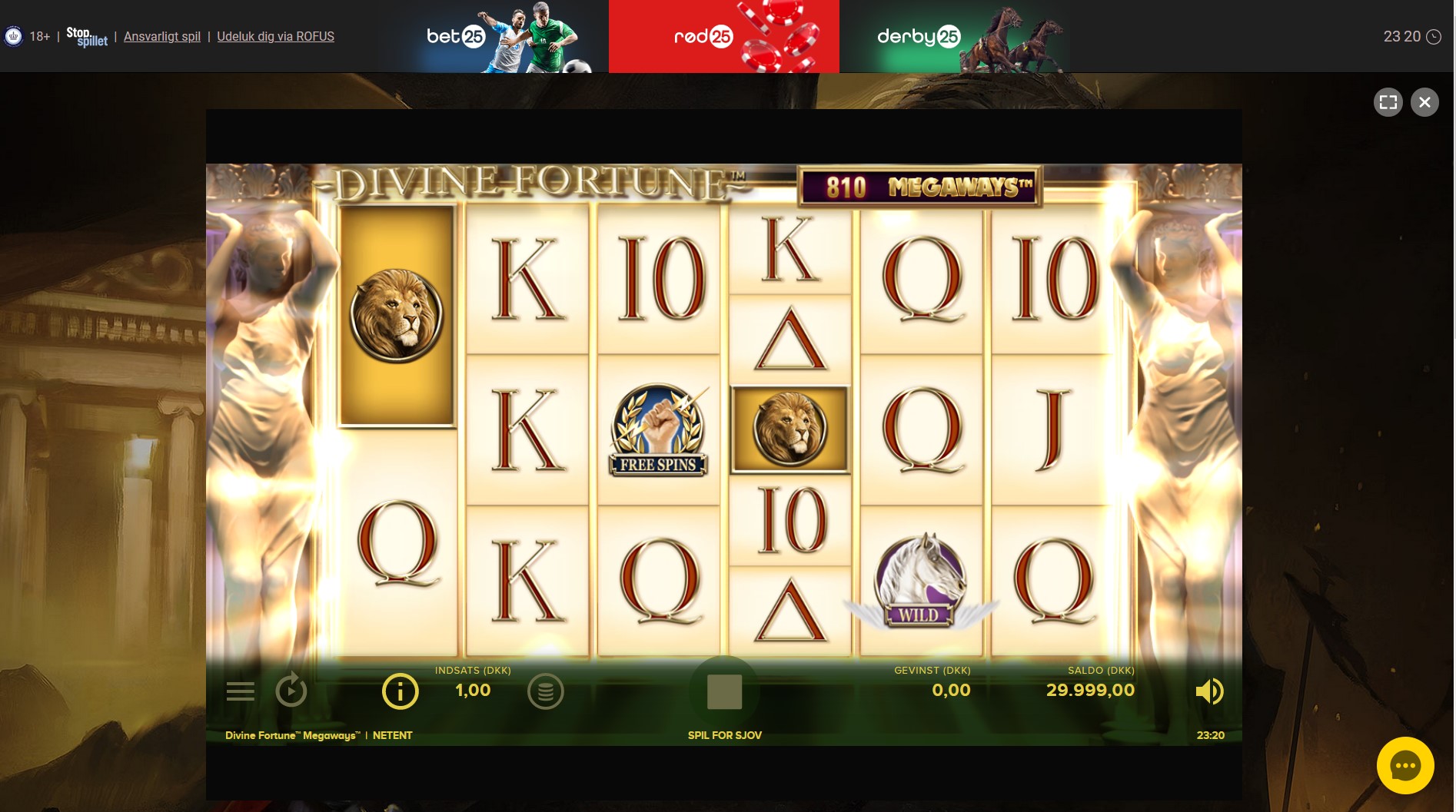 Rod 25 Casino Slot Games
