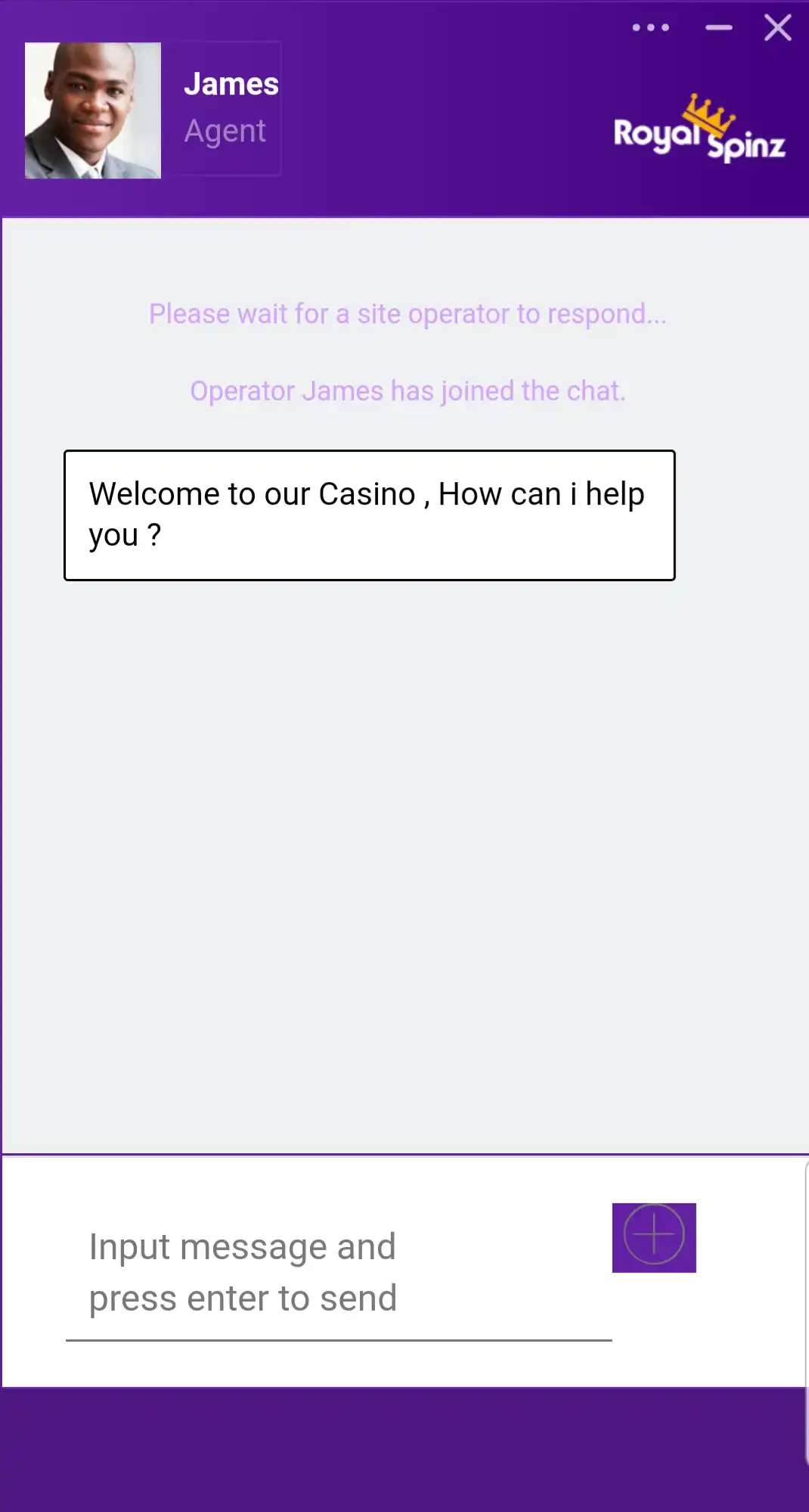 Royal Spinz Casino Mobile Support Review
