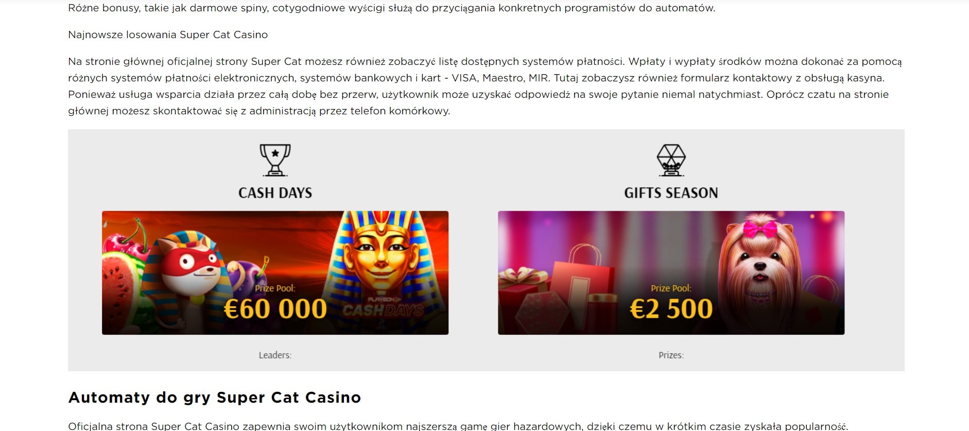 Super Cat Casino Review