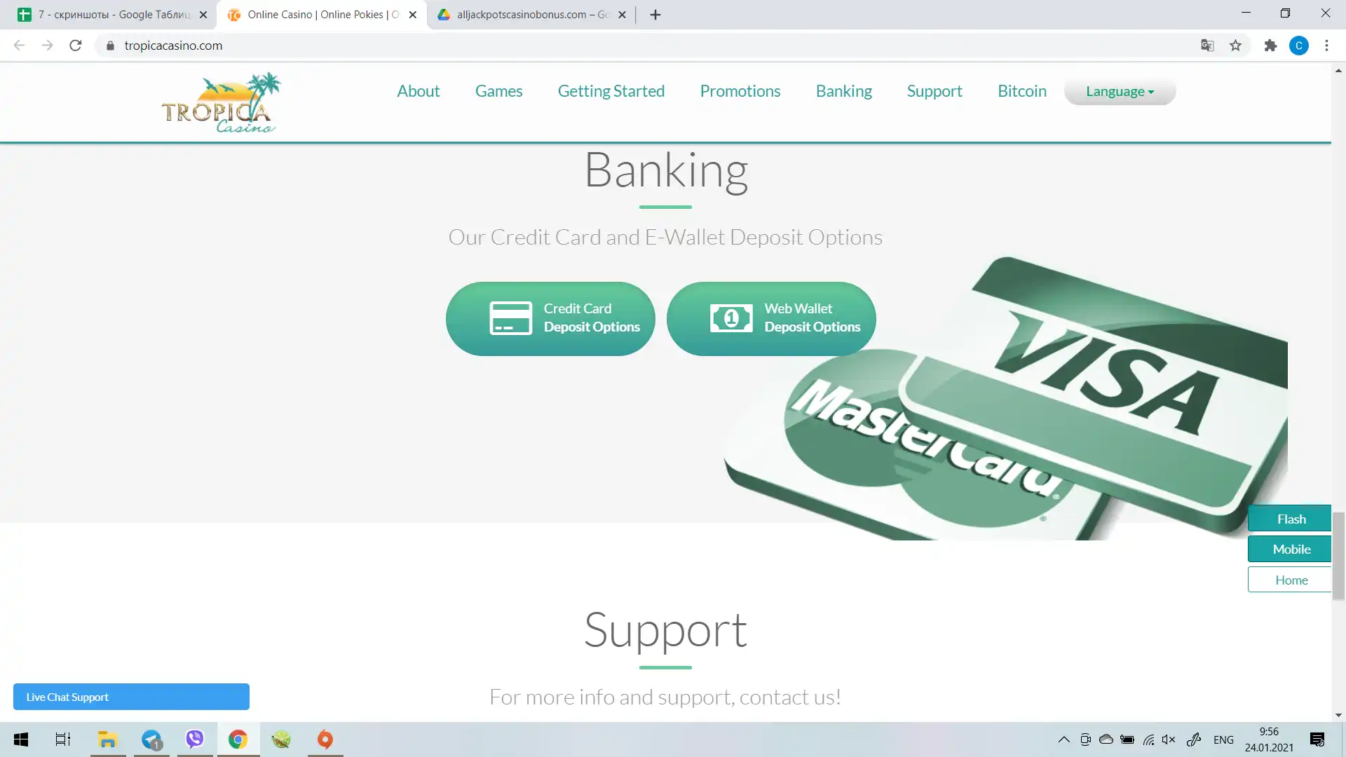 Tropica Casino Payment Methods
