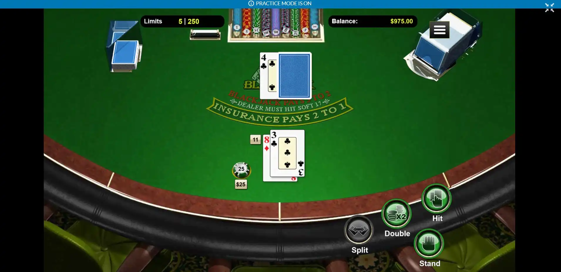 Wild Vegas Casino Slots