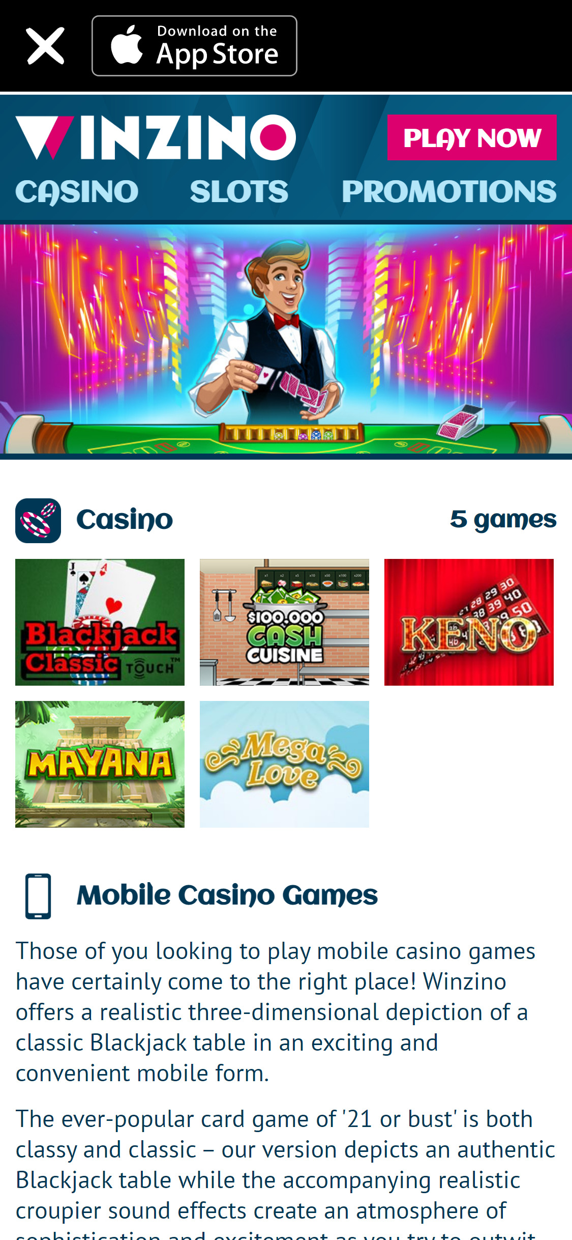 Winzino Casino Mobile App Review