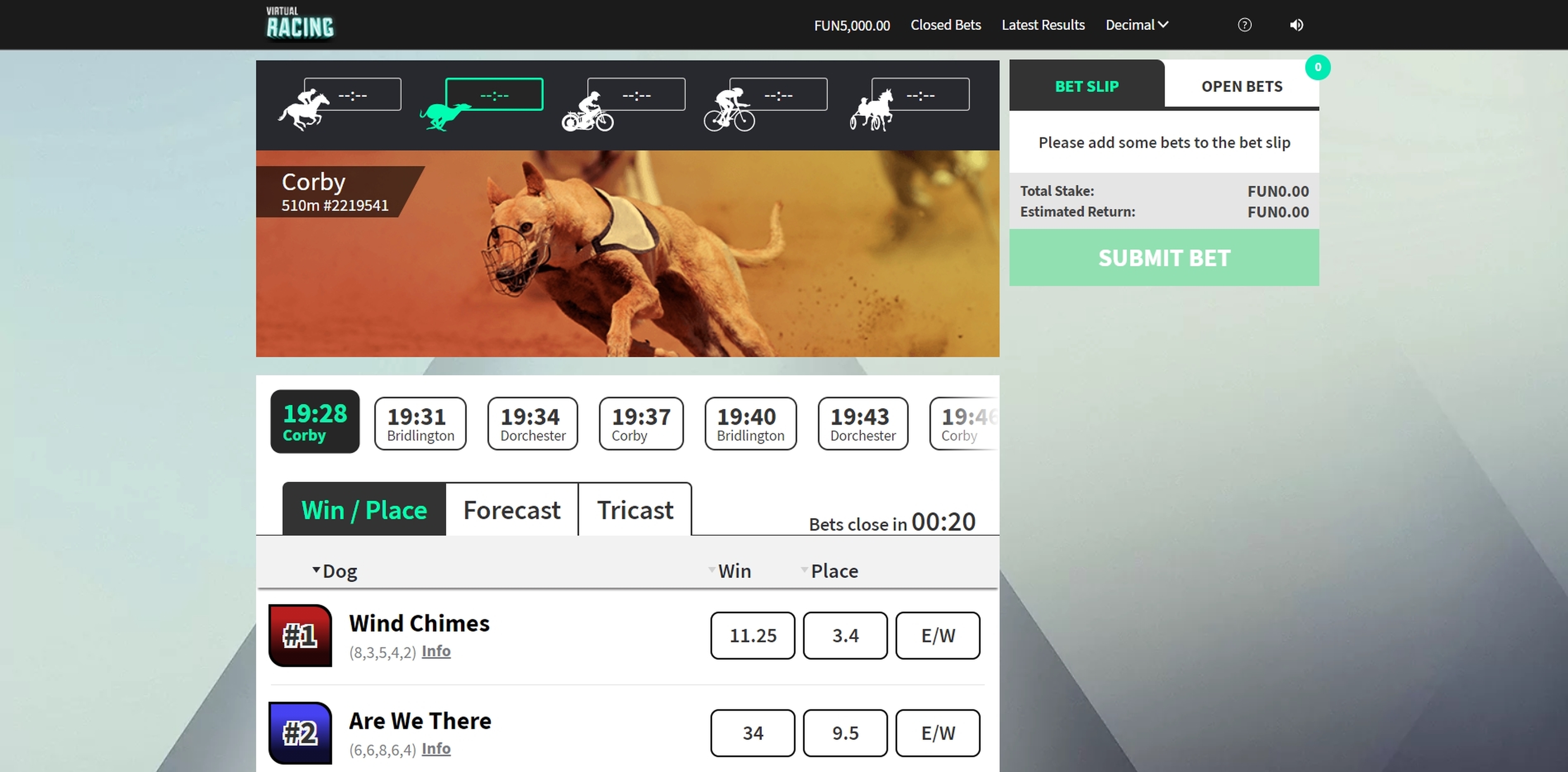 Reels in Virtual Greyhounds Slot Game by 1x2 Gaming