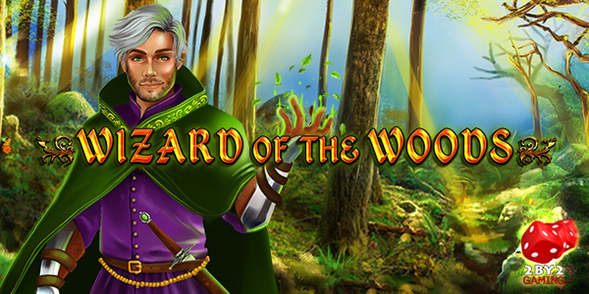 The Wizard of the Woods Online Slot Demo Game by 2 By 2 Gaming