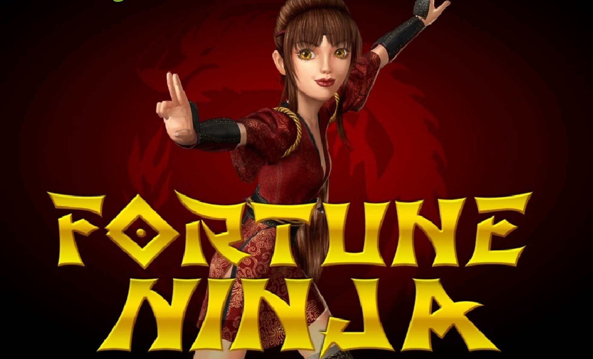 ninja pay usa online casinos