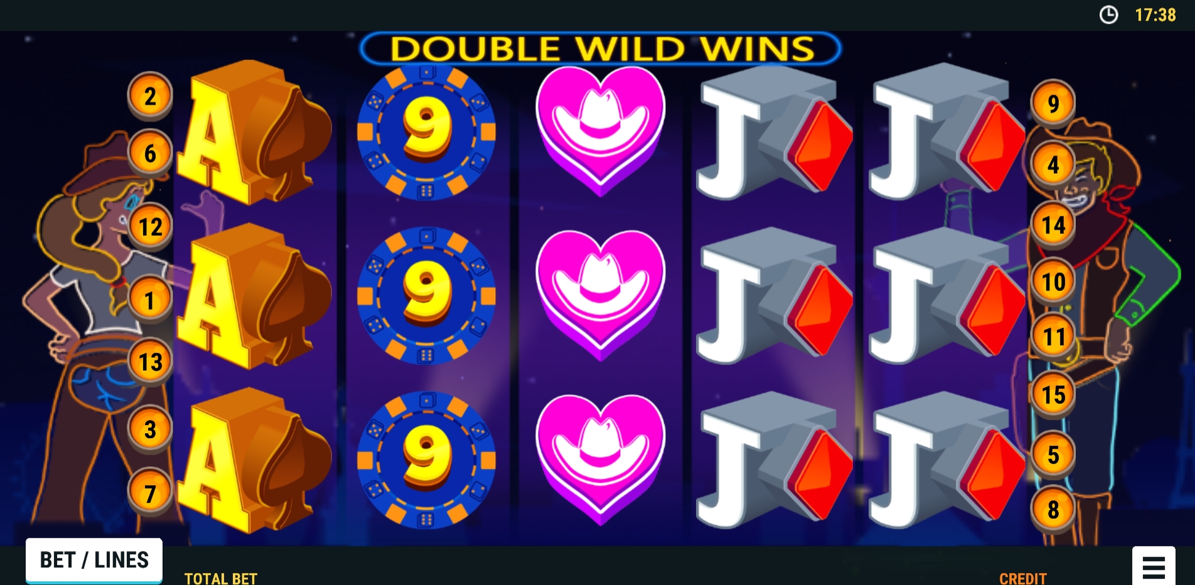 Reels in Double Wild Wins Slot Game by Slot Factory