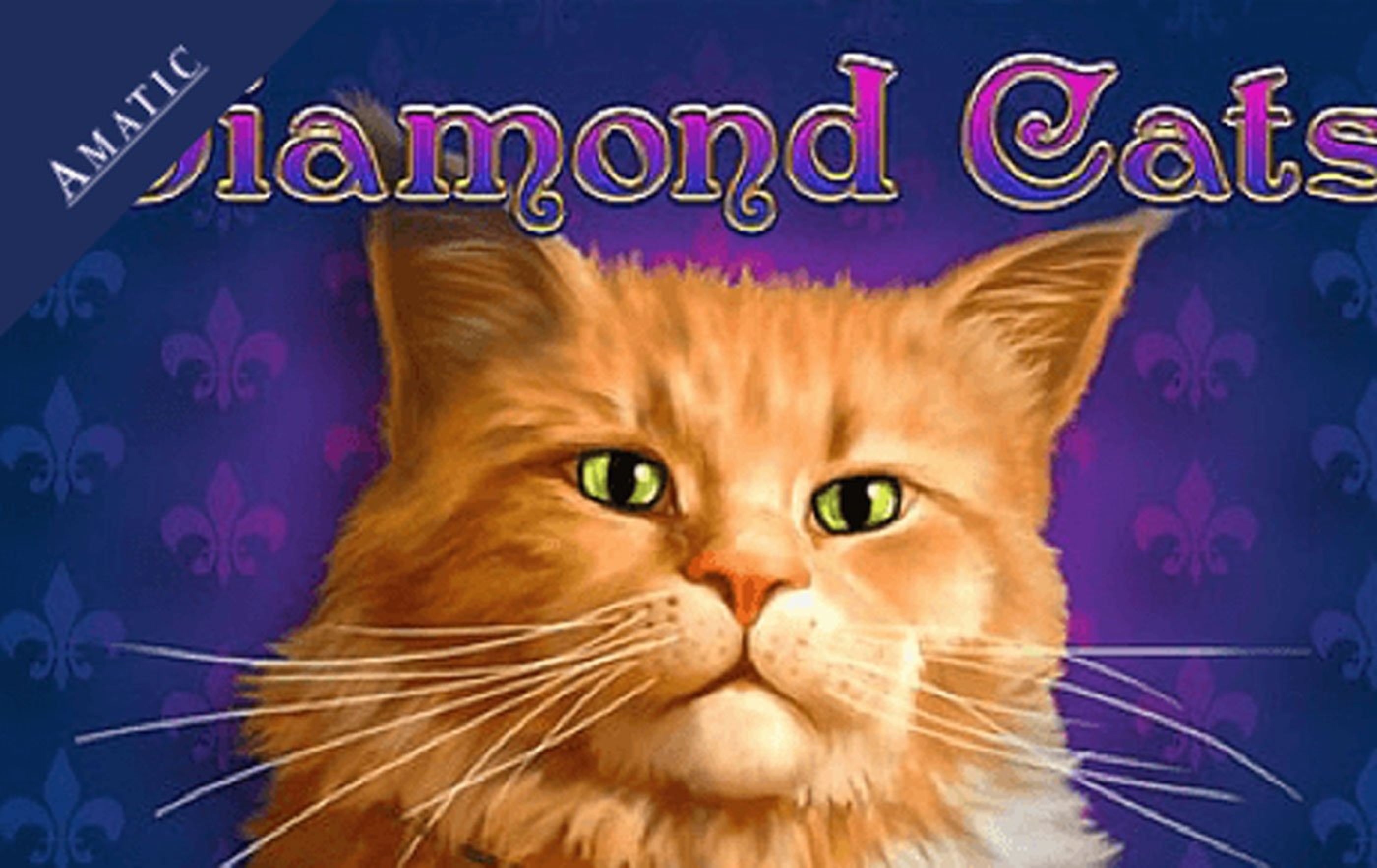 The Diamond Cats Online Slot Demo Game by Amatic Industries