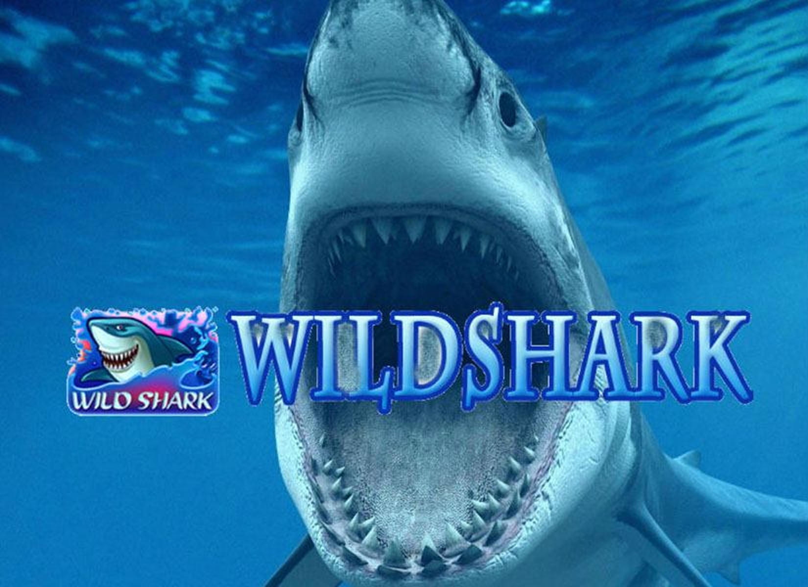 The Wild Shark Online Slot Demo Game by Amatic Industries