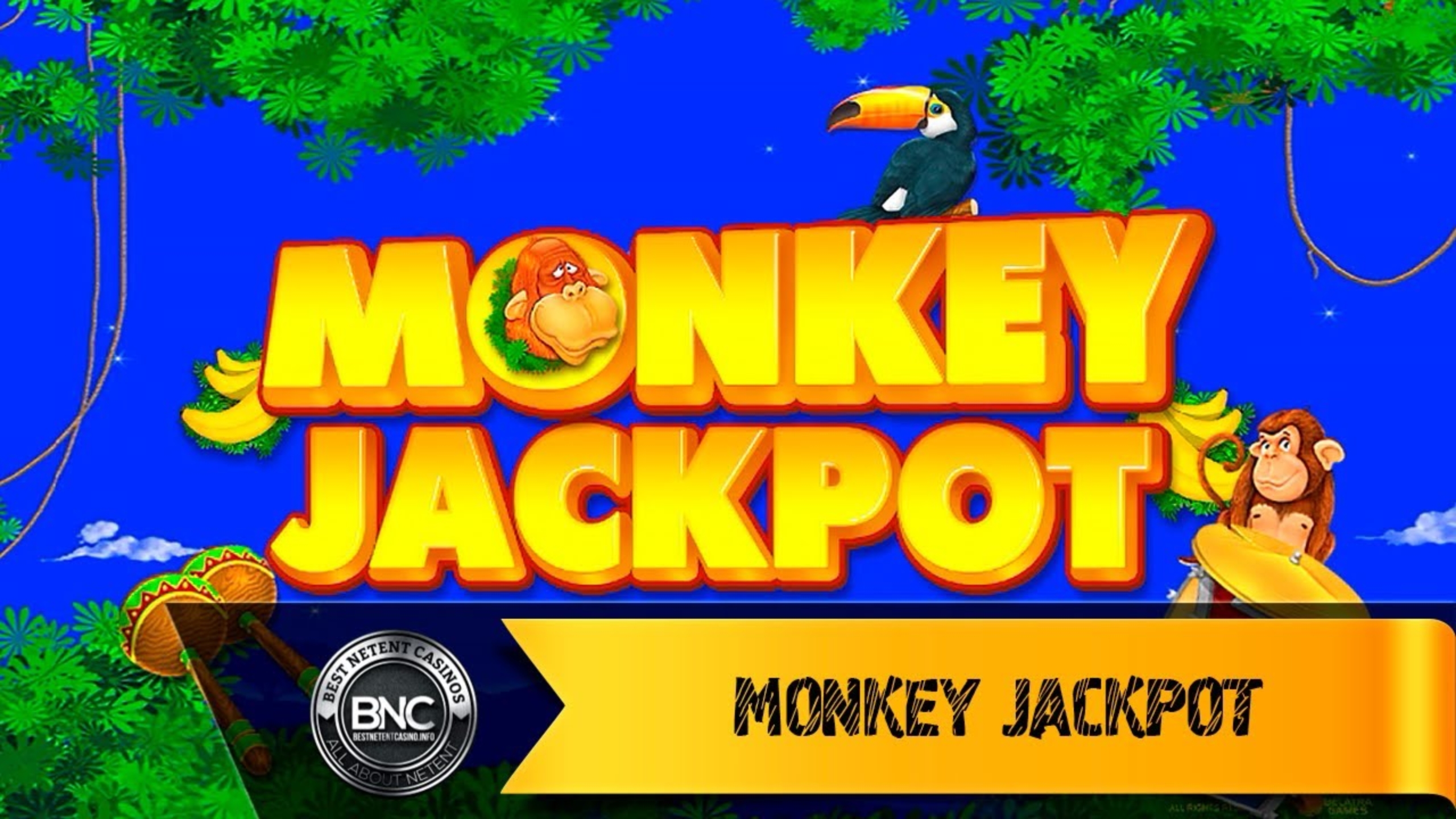 The Monkey Jackpot Online Slot Demo Game by Belatra Games