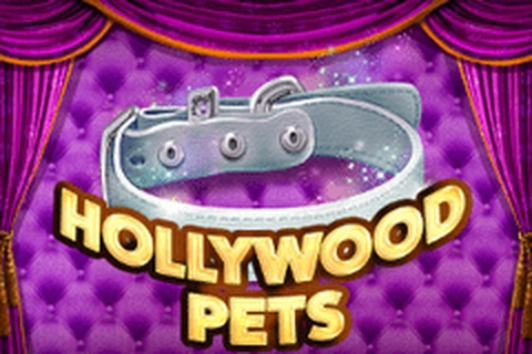 Hollywood Pets Online Slot Demo Game by betiXon
