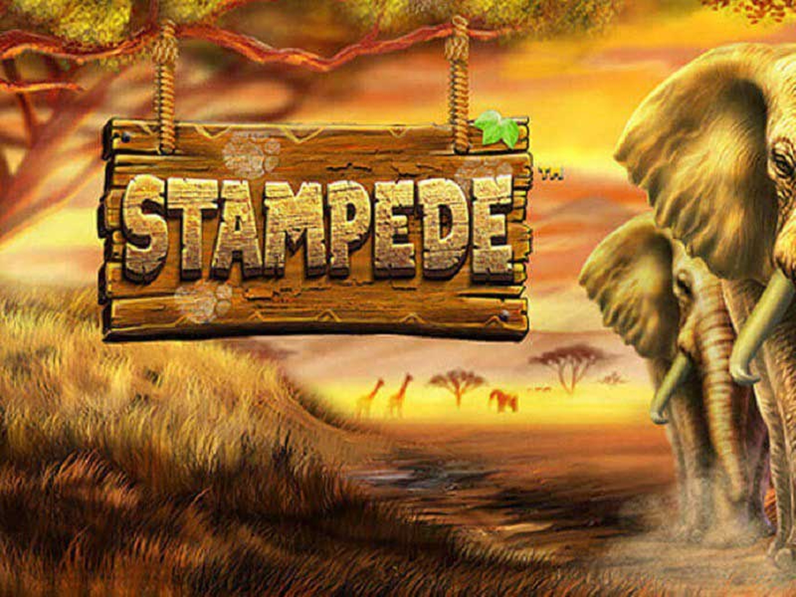 Stampede (Betsoft) Online Slot Demo Game by Betsoft